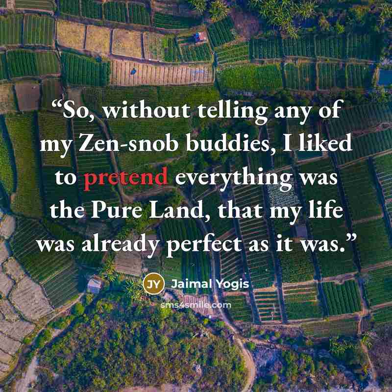 “So, without telling any of my Zen-snob buddies, I liked to pretend everything was the Pure Land, that my life was already perfect as it was.” quote by Jaimal Yogis