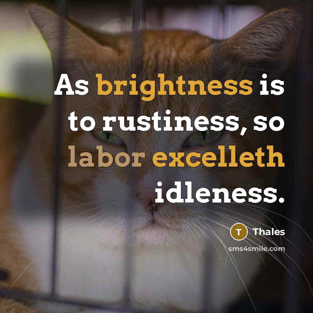 “As brightness is to rustiness, so labor excelleth idleness.” quote by Thales