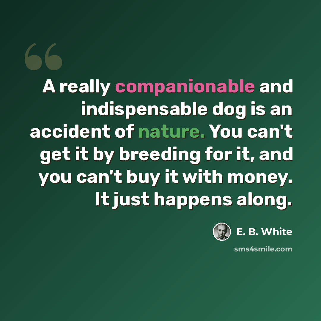 “A really companionable and indispensable dog is an accident of nature. You can't get it by breeding for it, and you can't buy it with money. It just happens along.” quote by E. B. White