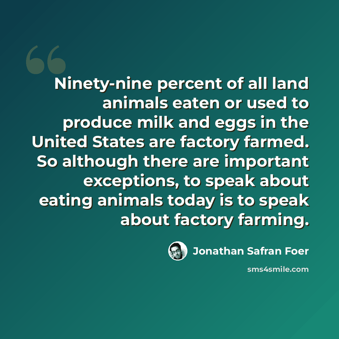 “Ninety-nine percent of all land animals eaten or used to produce milk and eggs in the United States are factory farmed. So although there are important exceptions, to speak about eating animals today is to speak about factory farming.” quote by Jonathan Safran Foer