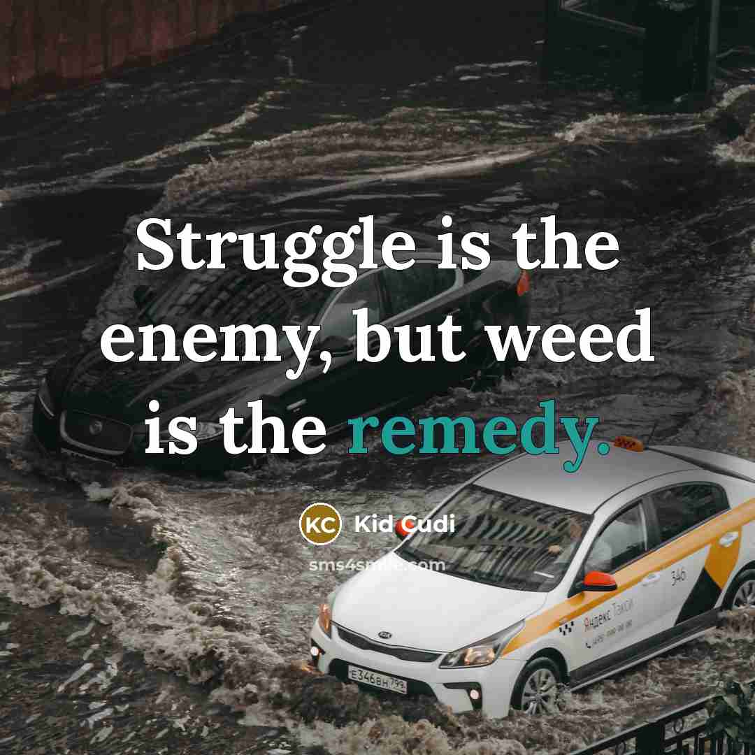 “Struggle is the enemy, but weed is the remedy.” quote by Kid Cudi