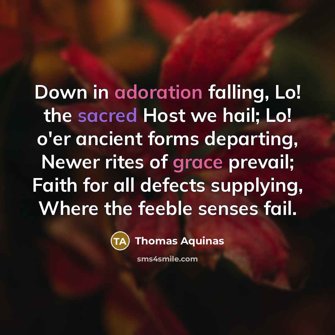 “Down in adoration falling, Lo! the sacred Host we hail; Lo! o'er ancient forms departing, Newer rites of grace prevail; Faith for all defects supplying, Where the feeble senses fail.” quote by Thomas Aquinas