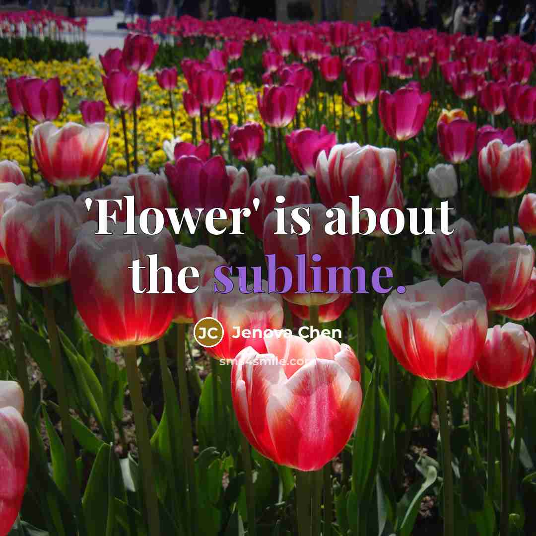“'Flower' is about the sublime.” quote by Jenova Chen