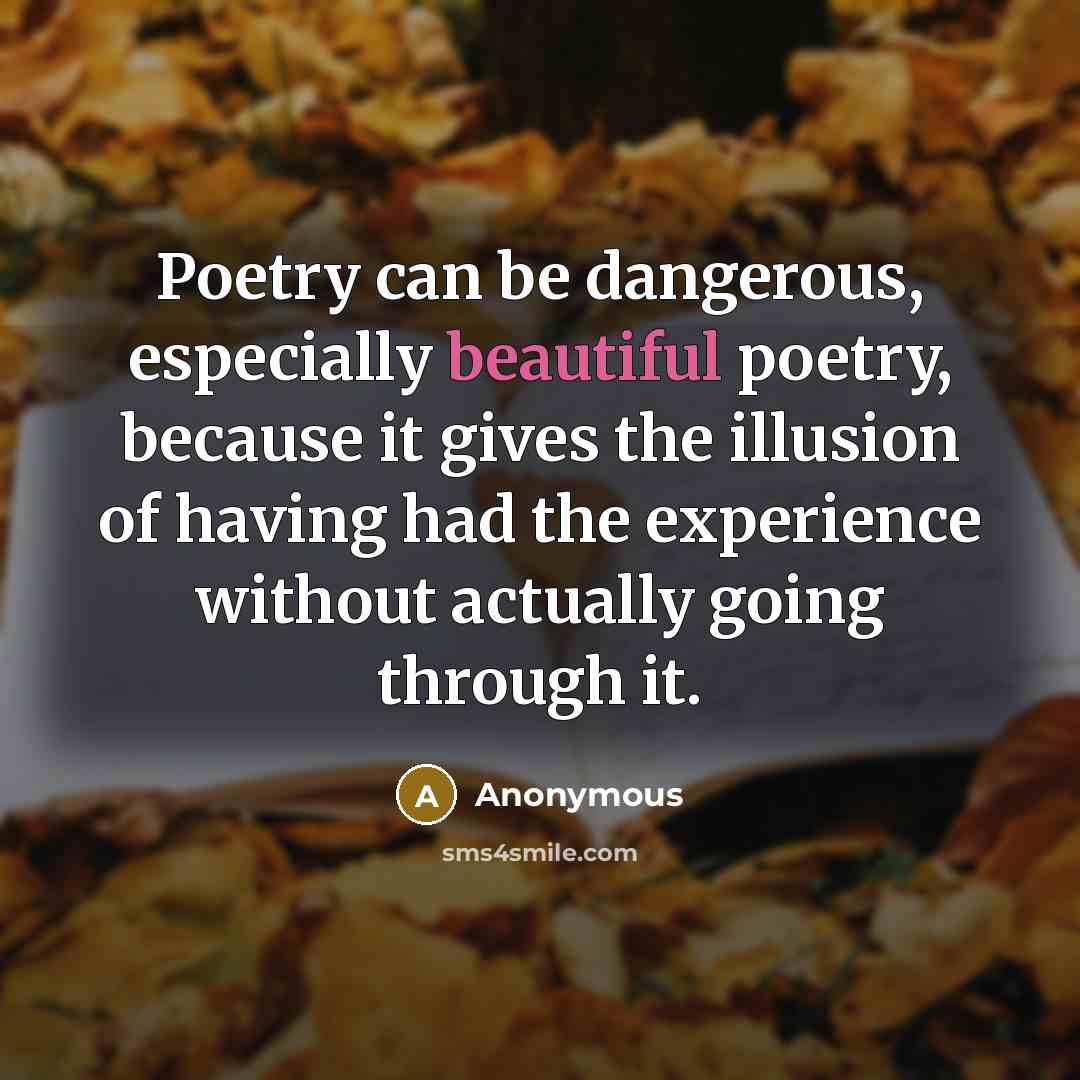 “Poetry can be dangerous, especially beautiful poetry, because it gives the illusion of having had the experience without actually going through it.” quote by Anonymous