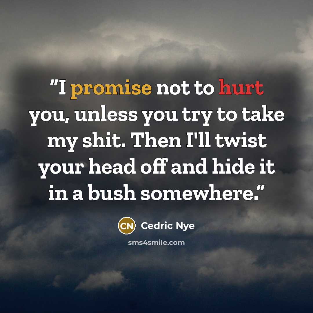 “I promise not to hurt you, unless you try to take my shit. Then I'll twist your head off and hide it in a bush somewhere.” quote by Cedric Nye