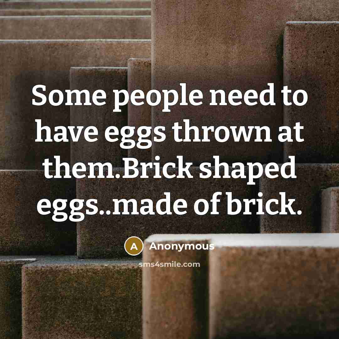 “Some people need to have eggs thrown at them.Brick shaped eggs..made of brick.” quote by Anonymous