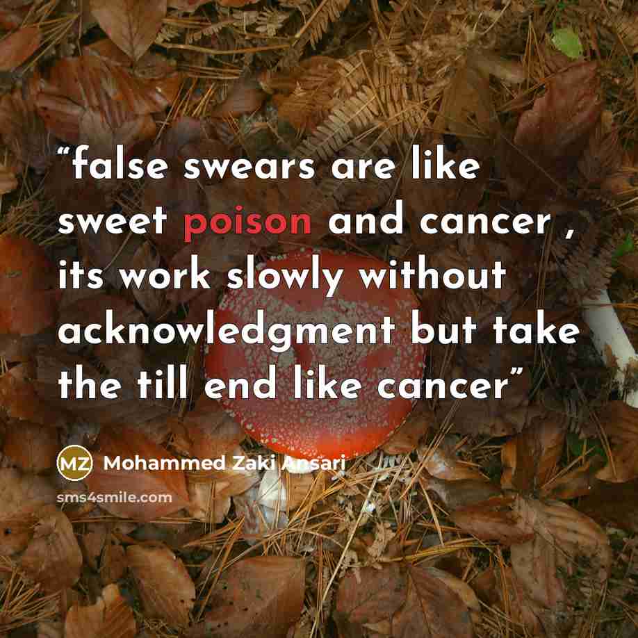 “false swears are like sweet poison and cancer , its work slowly without acknowledgment but take the till end like cancer” quote by Mohammed Zaki Ansari