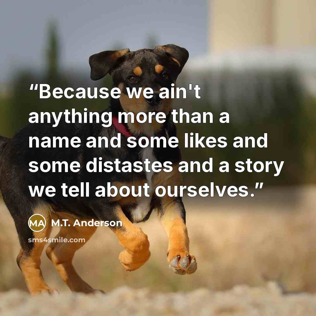 “Because we ain't anything more than a name and some likes and some distastes and a story we tell about ourselves.” quote by M.T. Anderson