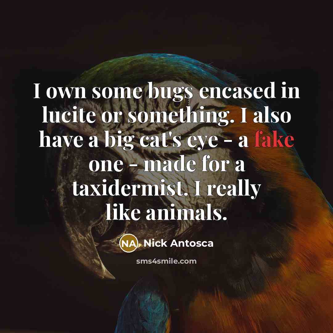 “I own some bugs encased in lucite or something. I also have a big cat's eye - a fake one - made for a taxidermist. I really like animals.” quote by Nick Antosca