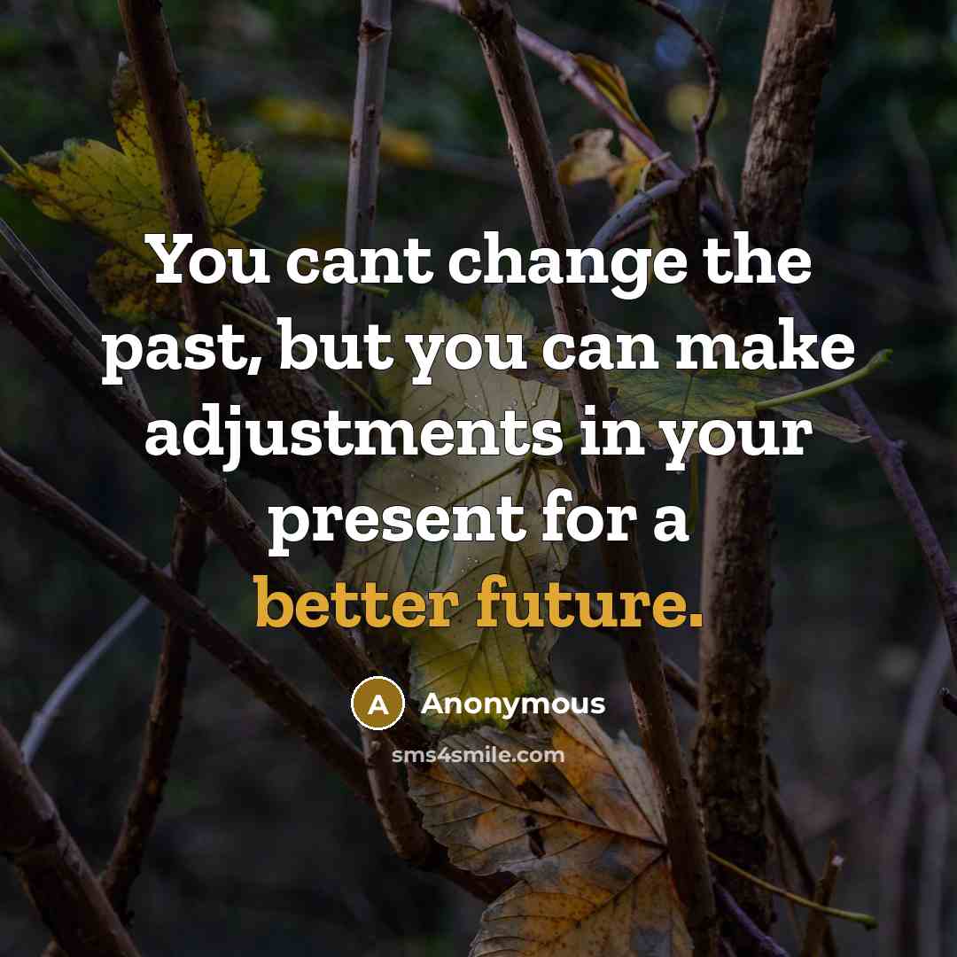 “You cant change the past, but you can make adjustments in your present for a better future.” quote by Anonymous