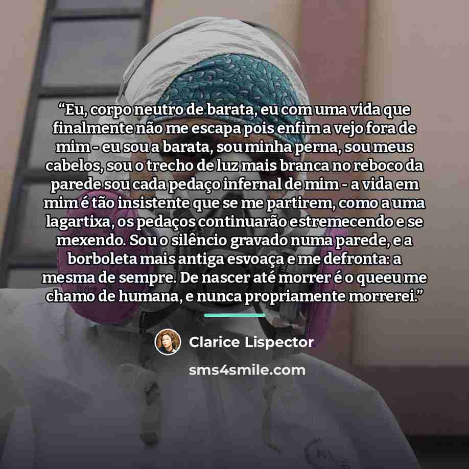 “Eu, corpo neutro de barata, eu com uma vida que finalmente não me escapa pois enfim a vejo fora de mim - eu sou a barata, sou minha perna, sou meus cabelos, sou o trecho de luz mais branca no reboco da parede sou cada pedaço infernal de mim - a vida em mim é tão insistente que se me partirem, como…” quote by Clarice Lispector