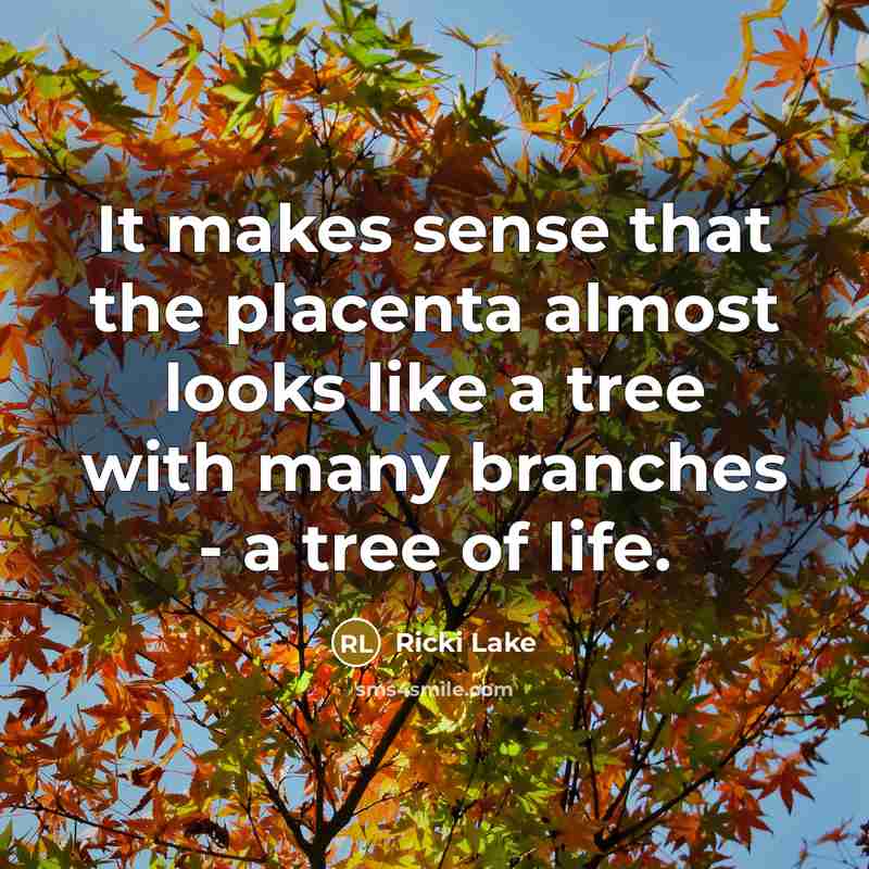 “It makes sense that the placenta almost looks like a tree with many branches - a tree of life.” quote by Ricki Lake