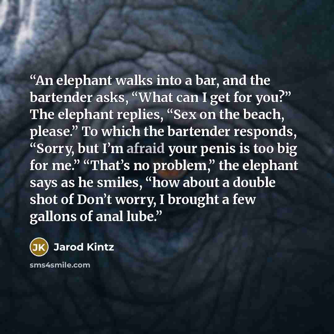 “An elephant walks into a bar, and the bartender asks, “What can I get for you?” The elephant replies, “Sex on the beach, please.” To which the bartender responds, “Sorry, but I’m afraid your penis is too big for me.” “That’s no problem,” the elephant says as he smiles, “how about a double shot of…” quote by Jarod Kintz
