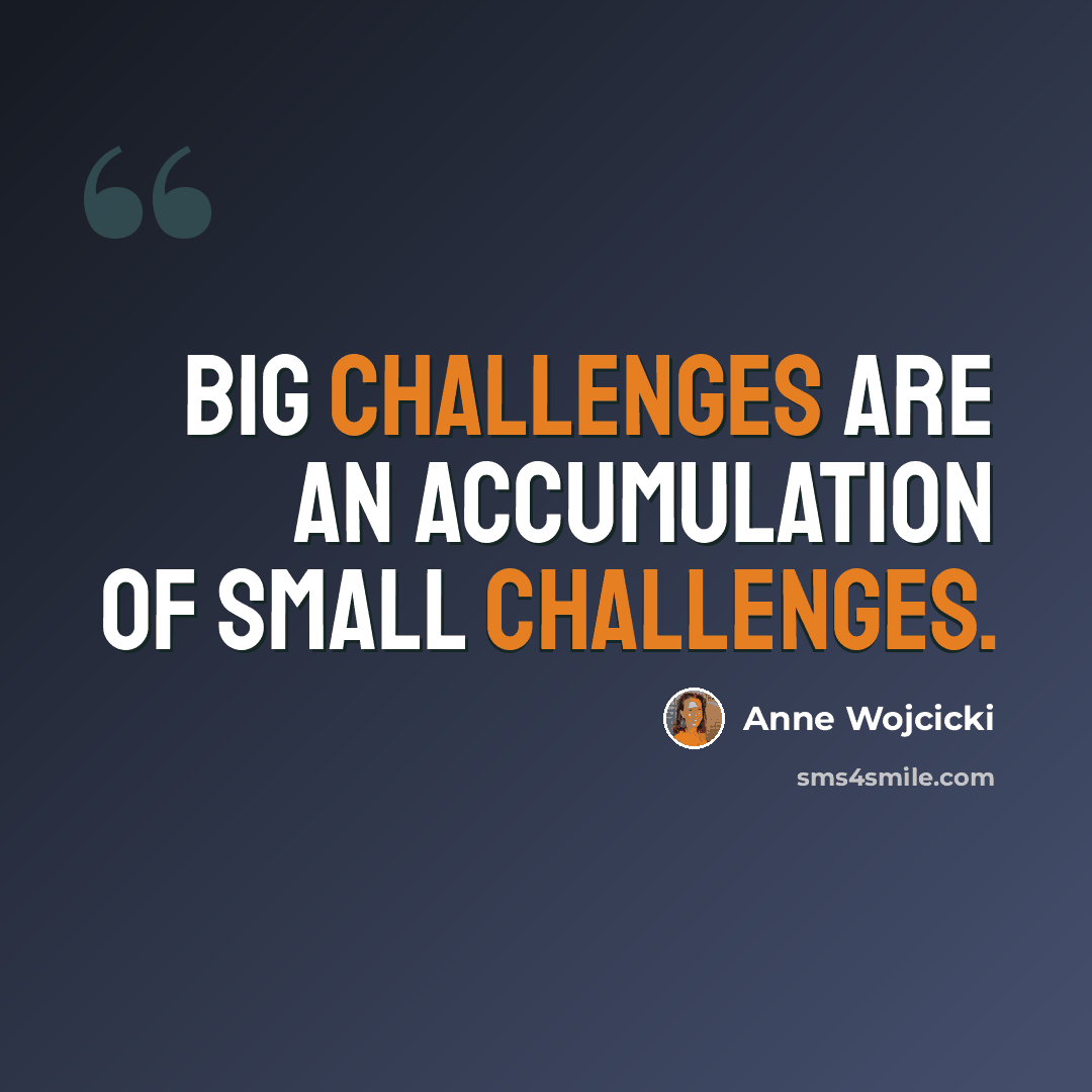 “Big challenges are an accumulation of small challenges.” quote by Anne Wojcicki