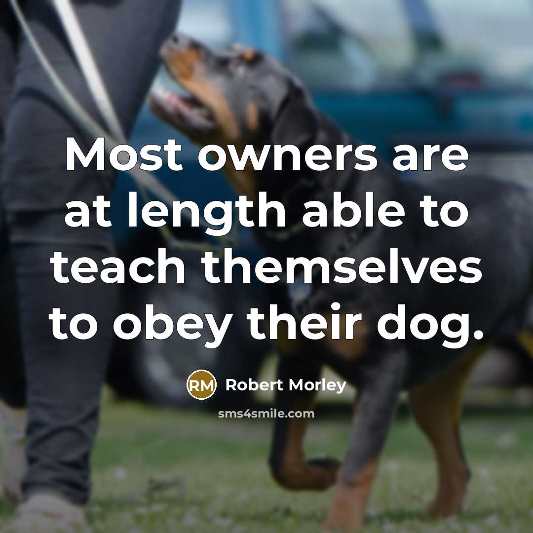 “Most owners are at length able to teach themselves to obey their dog.” quote by Robert Morley