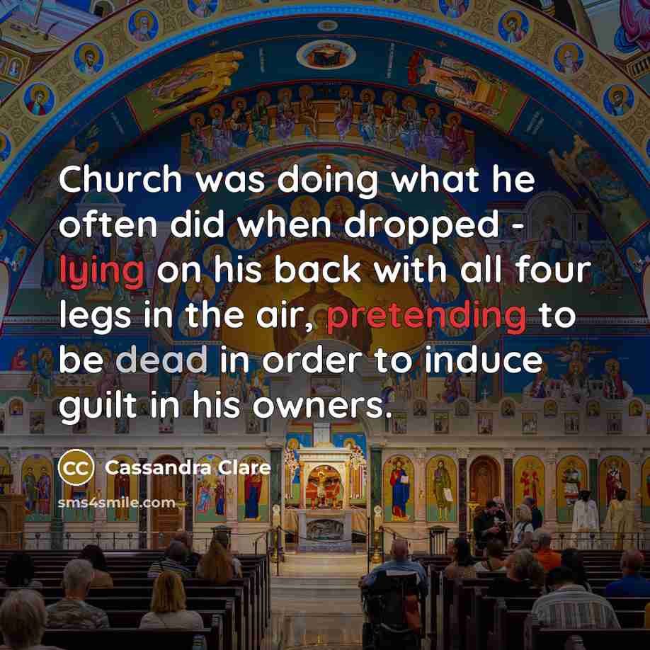 “Church was doing what he often did when dropped - lying on his back with all four legs in the air, pretending to be dead in order to induce guilt in his owners.” quote by Cassandra Clare