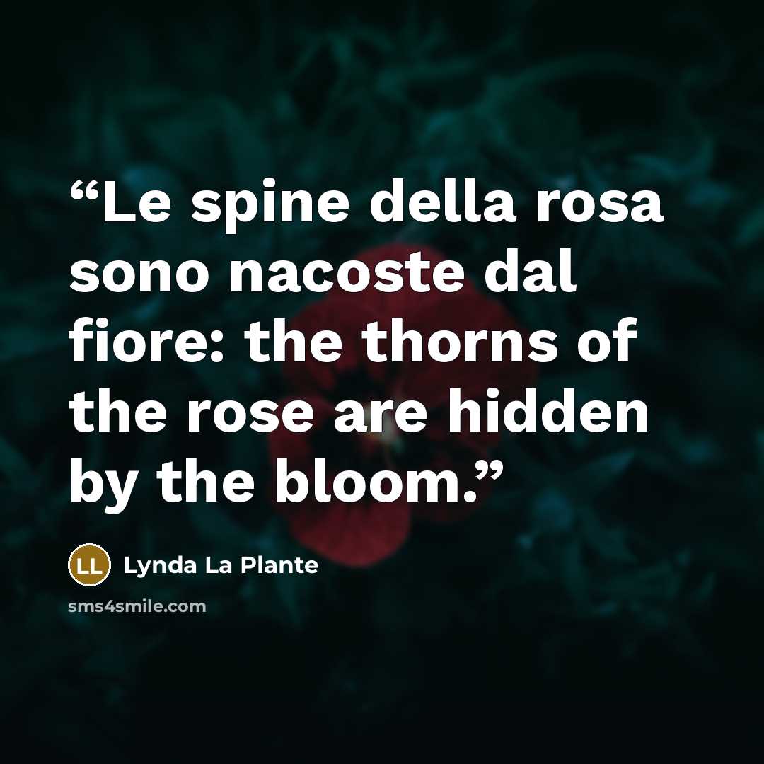 “Le spine della rosa sono nacoste dal fiore: the thorns of the rose are hidden by the bloom.” quote by Lynda La Plante