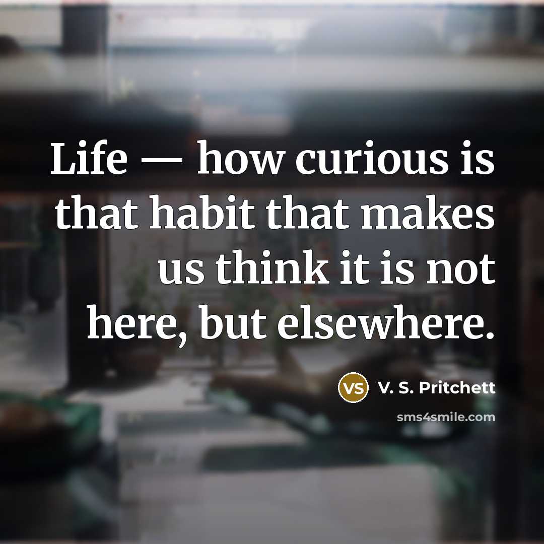 “Life — how curious is that habit that makes us think it is not here, but elsewhere.” quote by V. S. Pritchett