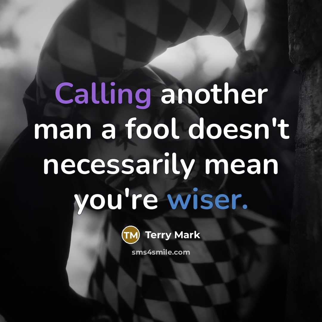 “Calling another man a fool doesn't necessarily mean you're wiser.” quote by Terry Mark