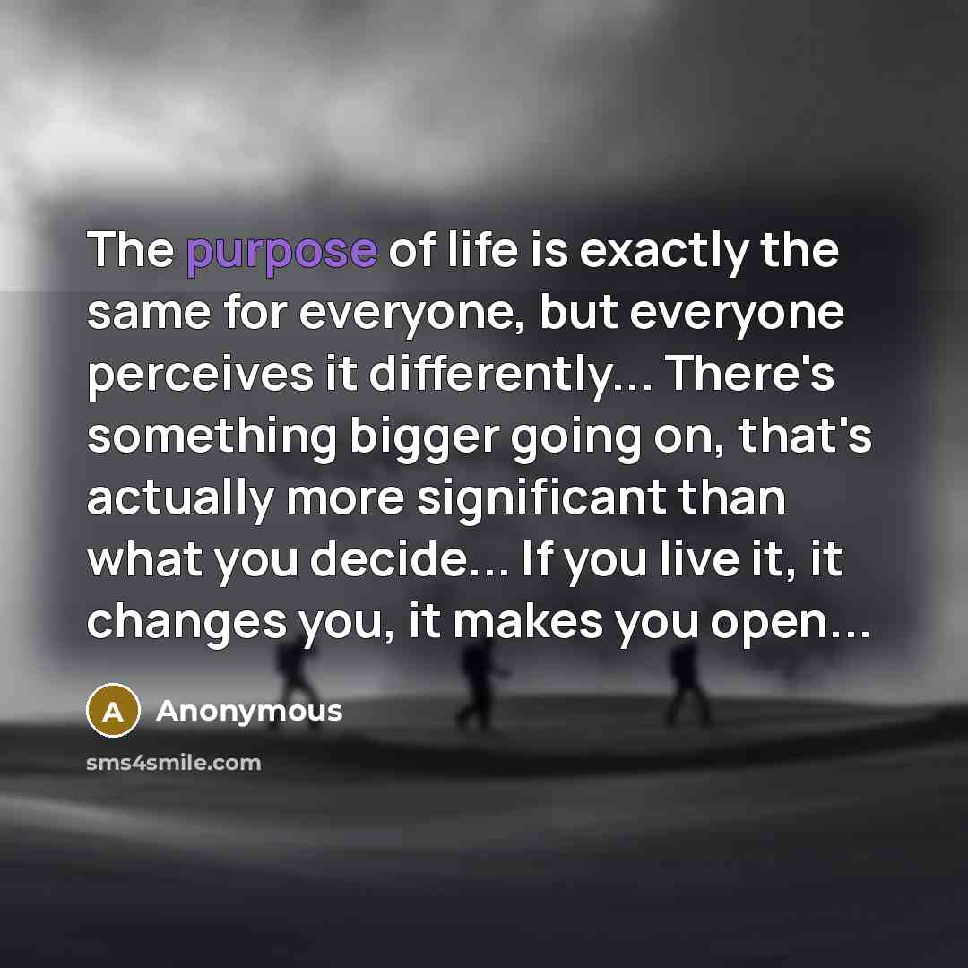 “The purpose of life is exactly the same for everyone, but everyone perceives it differently... There's something bigger going on, that's actually more significant than what you decide... If you live it, it changes you, it makes you open...” quote by Anonymous