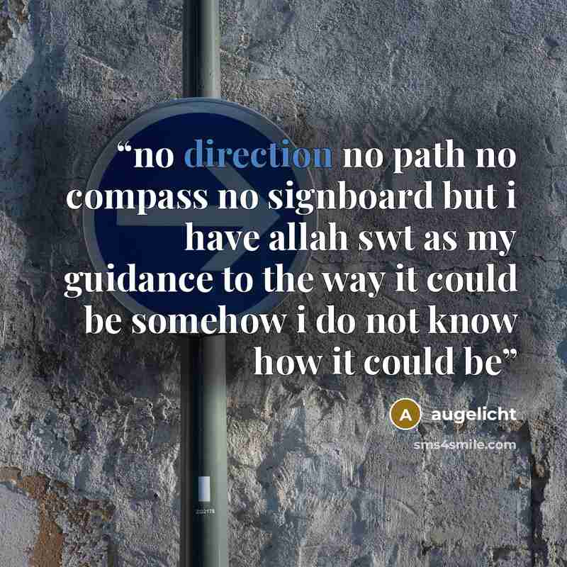 “no direction no path no compass no signboard but i have allah swt as my guidance to the way it could be somehow i do not know how it could be” quote by augelicht