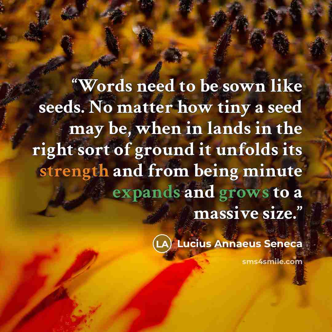 “Words need to be sown like seeds. No matter how tiny a seed may be, when in lands in the right sort of ground it unfolds its strength and from being minute expands and grows to a massive size.” quote by Lucius Annaeus Seneca