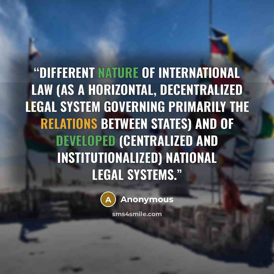 “different nature of international law (as a horizontal, decentralized legal system governing primarily the relations between states) and of developed (centralized and institutionalized) national legal systems.” quote by Anonymous