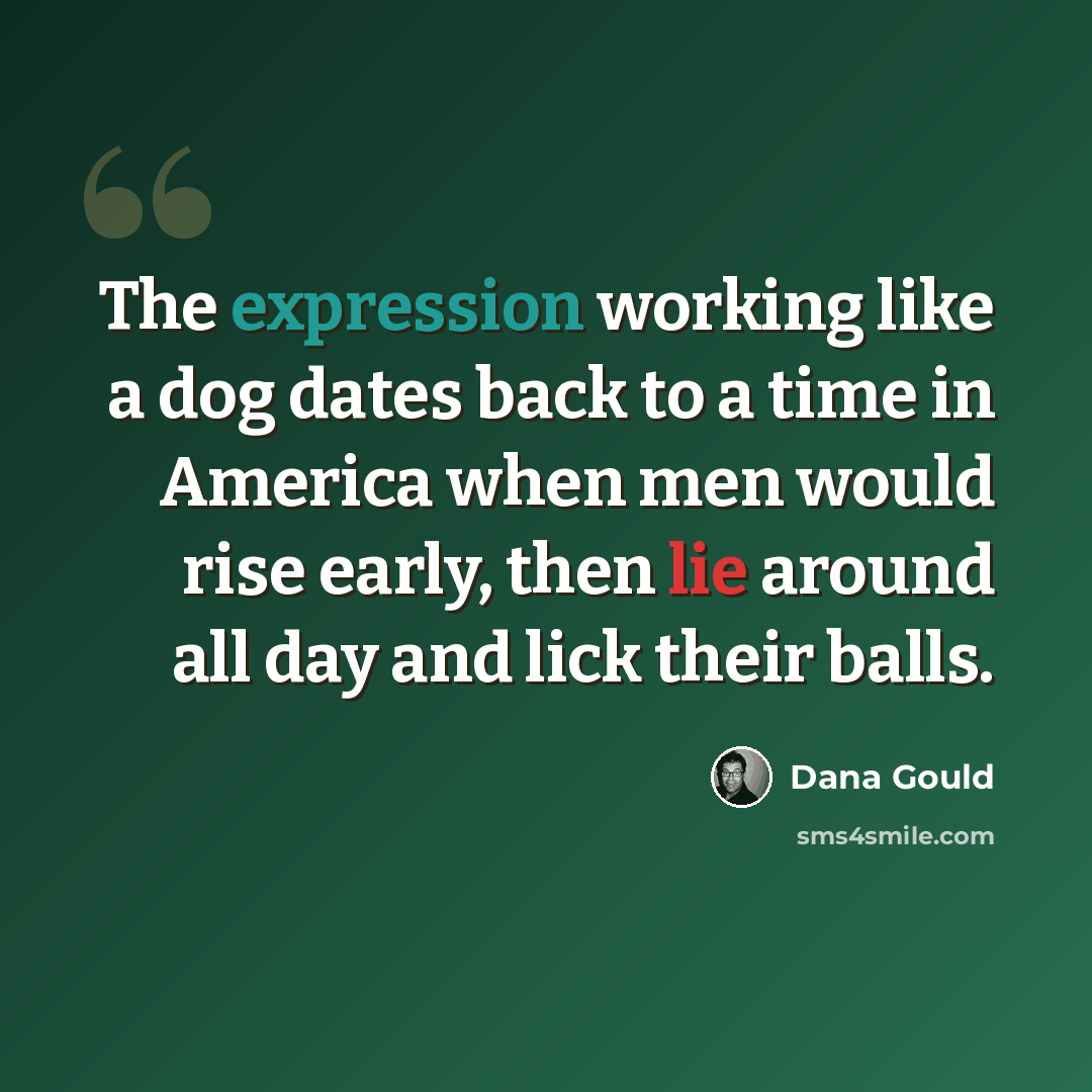“The expression working like a dog dates back to a time in America when men would rise early, then lie around all day and lick their balls.” quote by Dana Gould