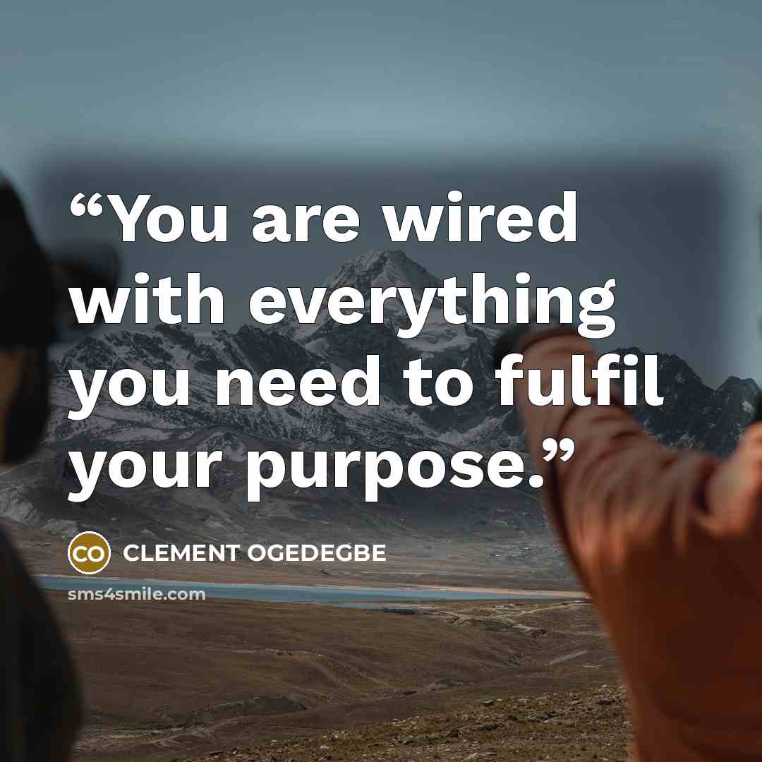 “You are wired with everything you need to fulfil your purpose.” quote by CLEMENT OGEDEGBE