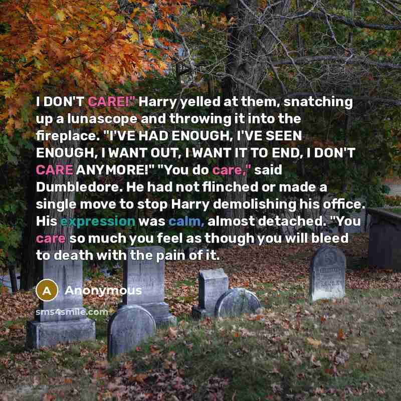 “I DON'T CARE!" Harry yelled at them, snatching up a lunascope and throwing it into the fireplace. "I'VE HAD ENOUGH, I'VE SEEN ENOUGH, I WANT OUT, I WANT IT TO END, I DON'T CARE ANYMORE!" "You do care," said Dumbledore. He had not flinched or made a single move to stop Harry demolishing his office…” quote by Anonymous