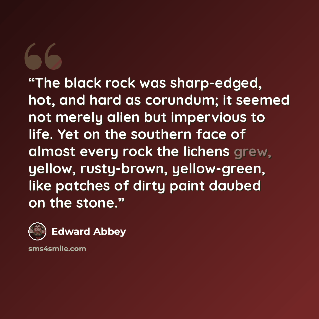 “The black rock was sharp-edged, hot, and hard as corundum; it seemed not merely alien but impervious to life. Yet on the southern face of almost every rock the lichens grew, yellow, rusty-brown, yellow-green, like patches of dirty paint daubed on the stone.” quote by Edward Abbey