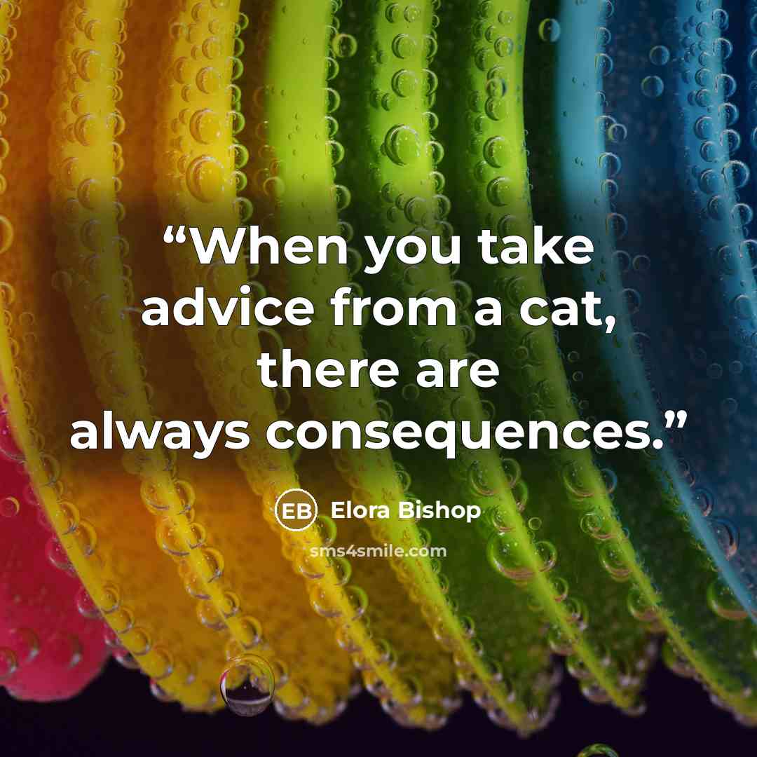“When you take advice from a cat, there are always consequences.” quote by Elora Bishop