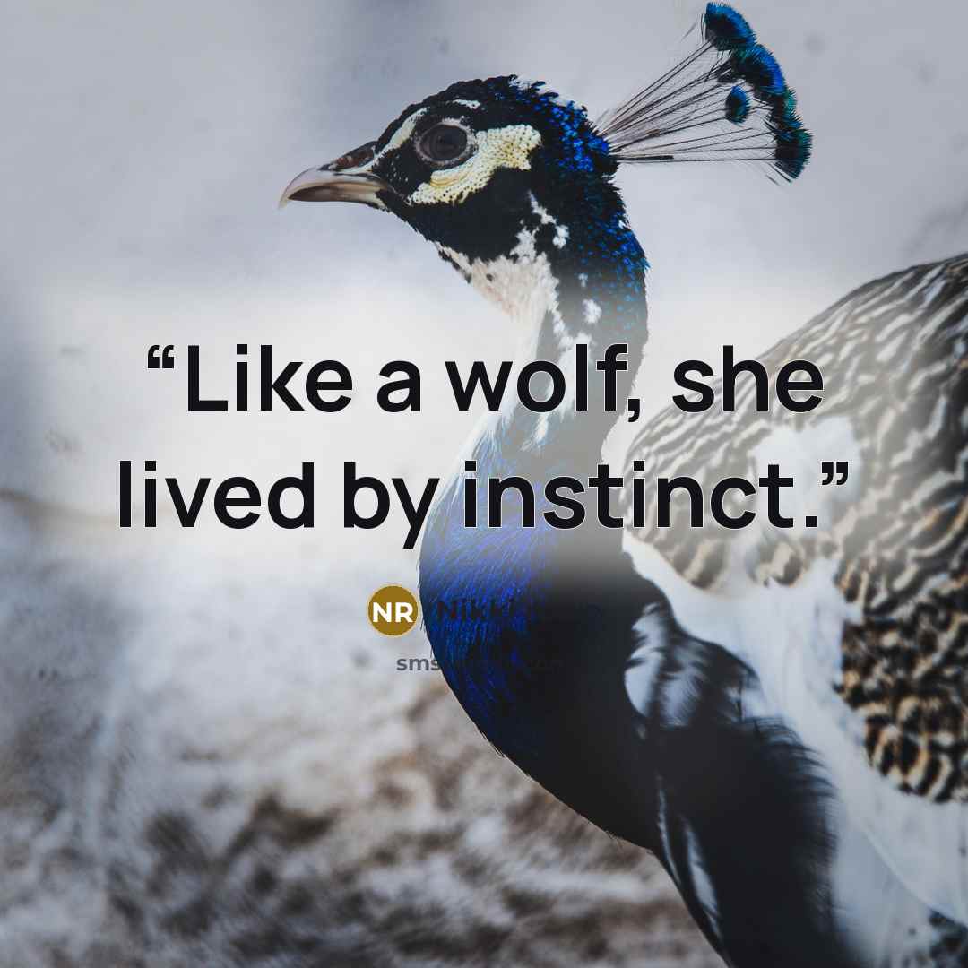“Like a wolf, she lived by instinct.” quote by Nikki rowe