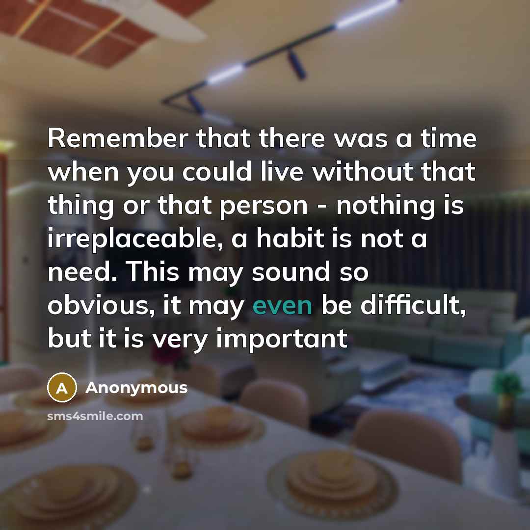“Remember that there was a time when you could live without that thing or that person - nothing is irreplaceable, a habit is not a need. This may sound so obvious, it may even be difficult, but it is very important” quote by Anonymous