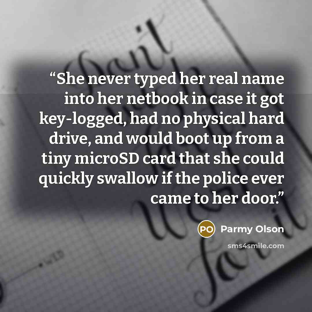 “She never typed her real name into her netbook in case it got key-logged, had no physical hard drive, and would boot up from a tiny microSD card that she could quickly swallow if the police ever came to her door.” quote by Parmy Olson