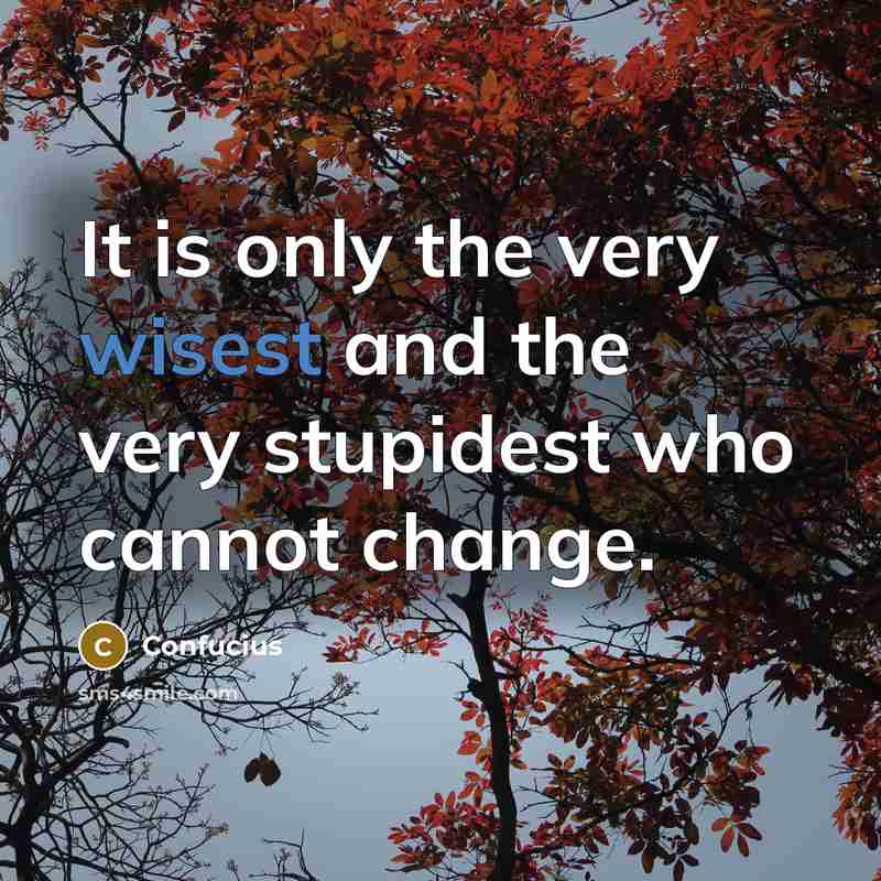“It is only the very wisest and the very stupidest who cannot change.” quote by Confucius