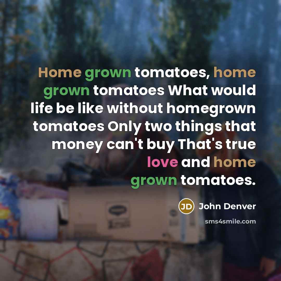 “Home grown tomatoes, home grown tomatoes What would life be like without homegrown tomatoes Only two things that money can't buy That's true love and home grown tomatoes.” quote by John Denver