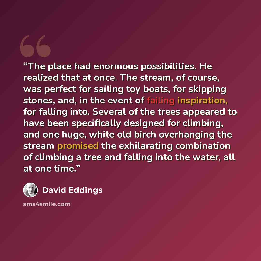 “The place had enormous possibilities. He realized that at once. The stream, of course, was perfect for sailing toy boats, for skipping stones, and, in the event of failing inspiration, for falling into. Several of the trees appeared to have been specifically designed for climbing, and one huge…” quote by David Eddings