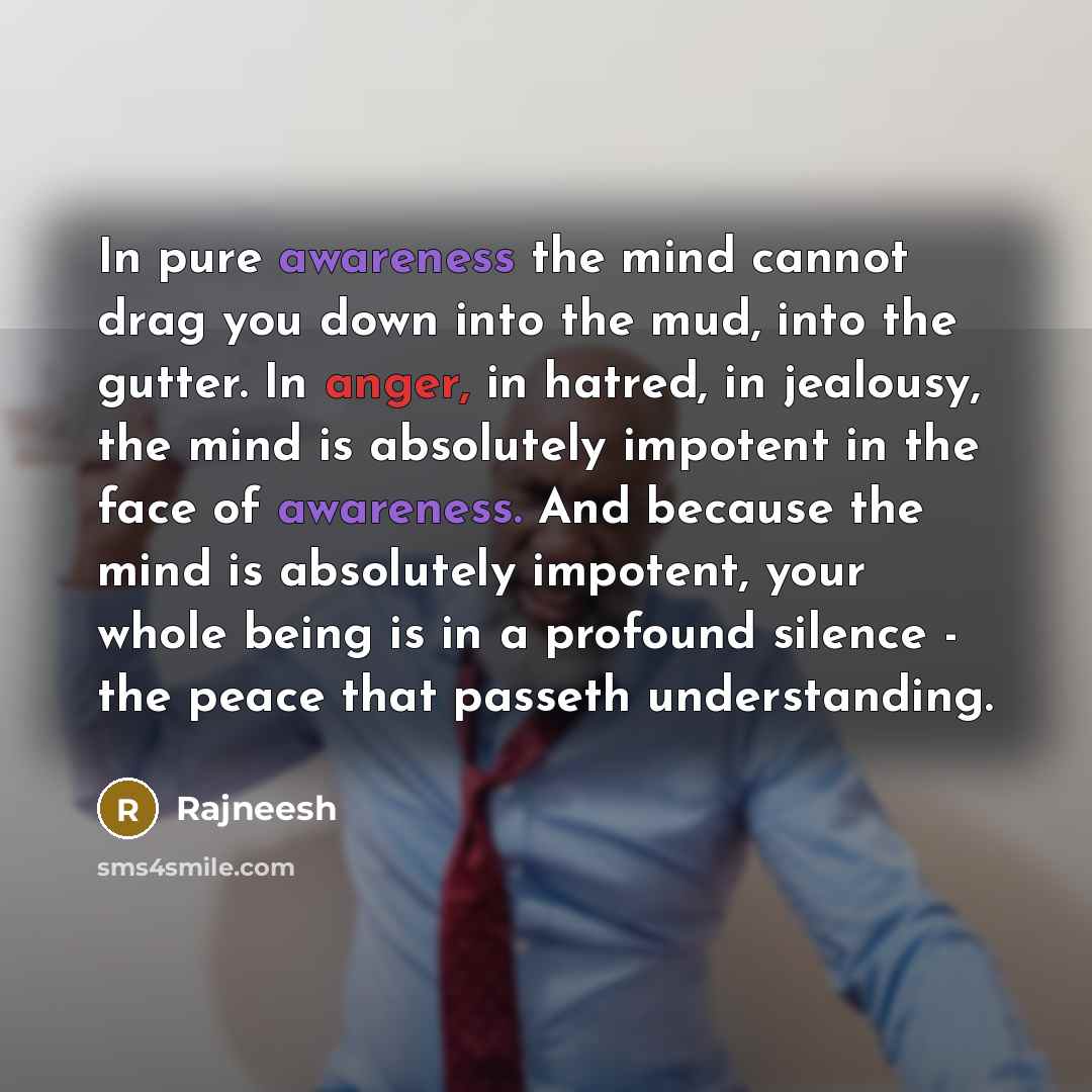 “In pure awareness the mind cannot drag you down into the mud, into the gutter. In anger, in hatred, in jealousy, the mind is absolutely impotent in the face of awareness. And because the mind is absolutely impotent, your whole being is in a profound silence - the peace that passeth understanding.” quote by Rajneesh