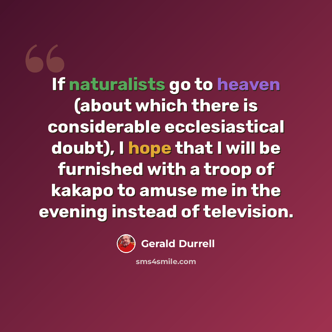 “If naturalists go to heaven (about which there is considerable ecclesiastical doubt), I hope that I will be furnished with a troop of kakapo to amuse me in the evening instead of television.” quote by Gerald Durrell