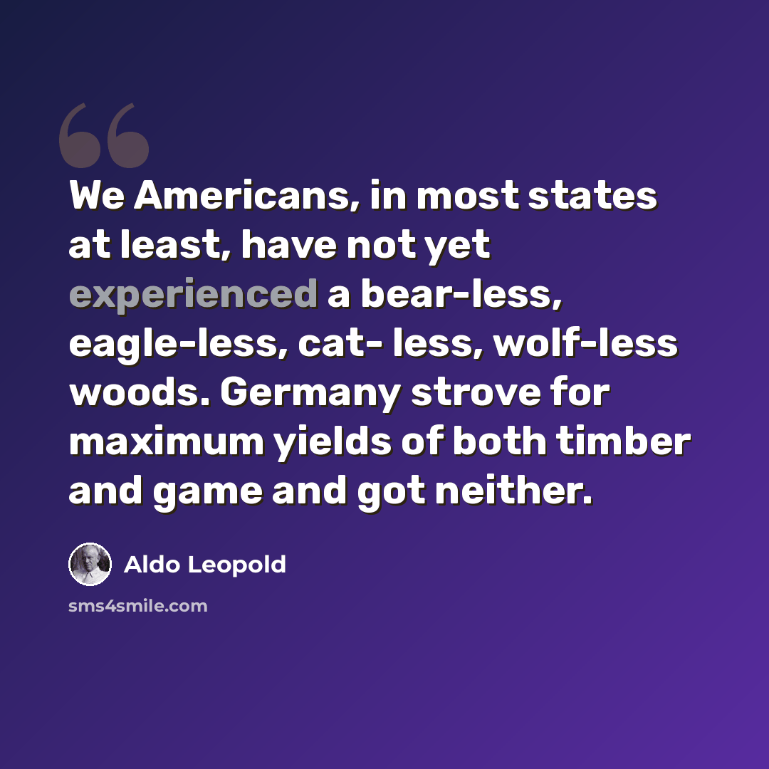 “We Americans, in most states at least, have not yet experienced a bear-less, eagle-less, cat- less, wolf-less woods. Germany strove for maximum yields of both timber and game and got neither.” quote by Aldo Leopold