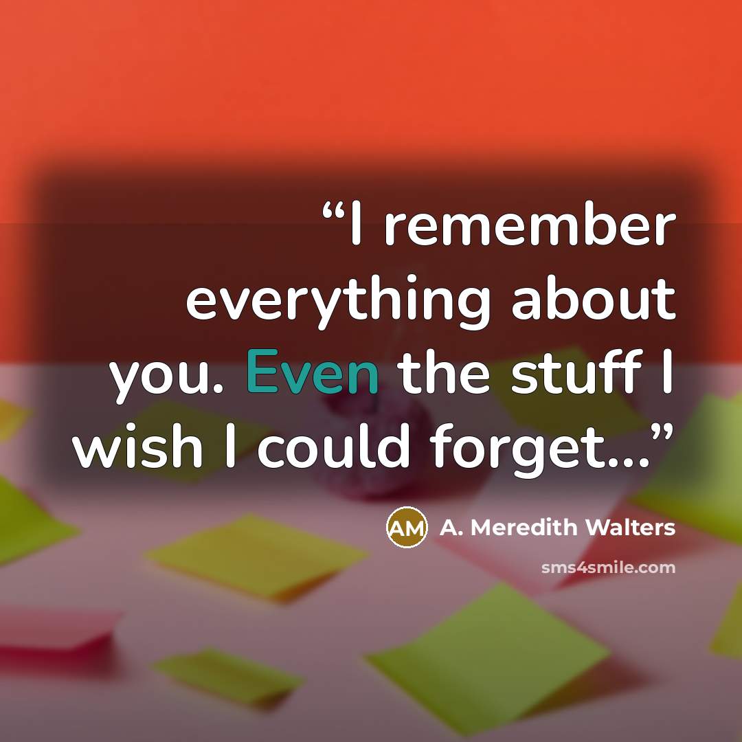“I remember everything about you. Even the stuff I wish I could forget...” quote by A. Meredith Walters