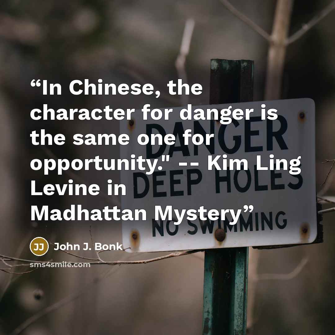 “In Chinese, the character for danger is the same one for opportunity." -- Kim Ling Levine in Madhattan Mystery” quote by John J. Bonk