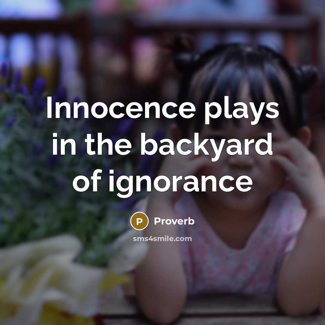 “Innocence plays in the backyard of ignorance” quote by Proverb