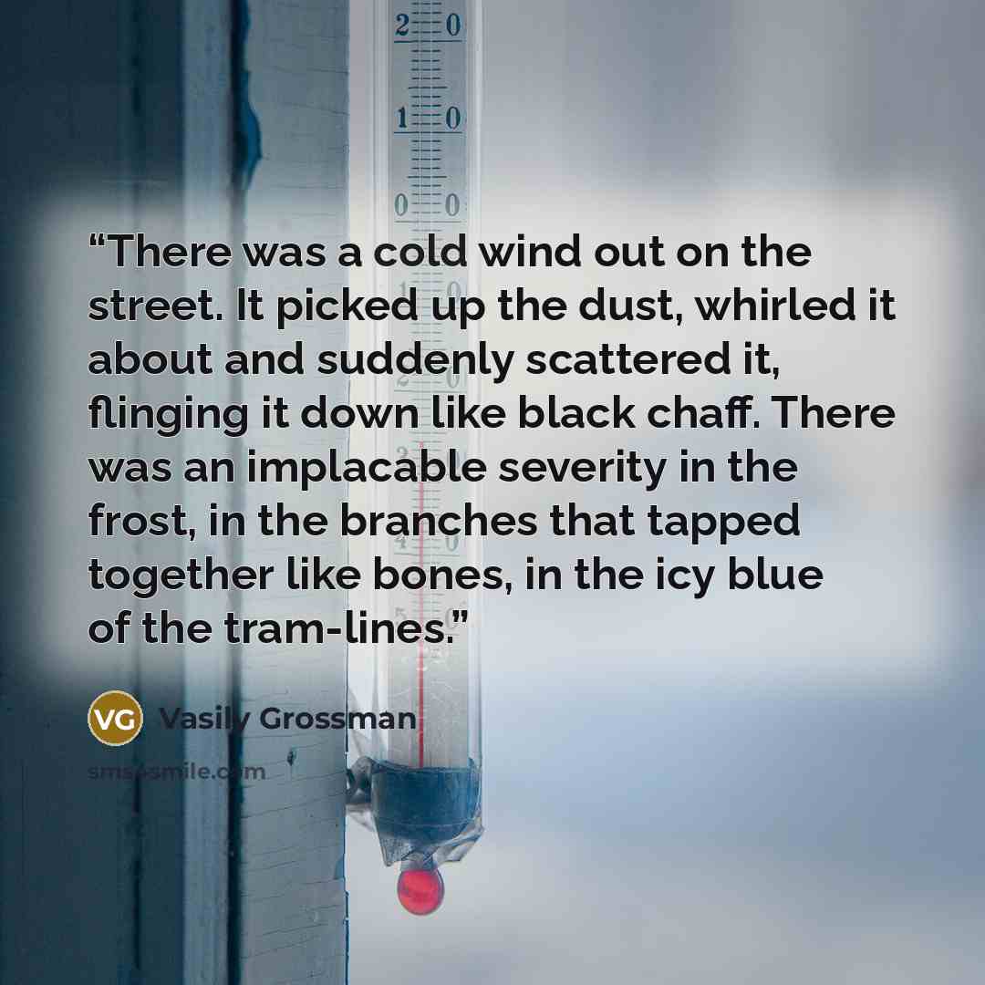 “There was a cold wind out on the street. It picked up the dust, whirled it about and suddenly scattered it, flinging it down like black chaff. There was an implacable severity in the frost, in the branches that tapped together like bones, in the icy blue of the tram-lines.” quote by Vasily Grossman