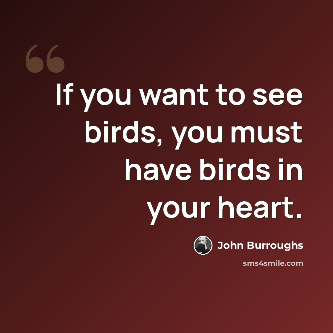 “If you want to see birds, you must have birds in your heart.” quote by John Burroughs