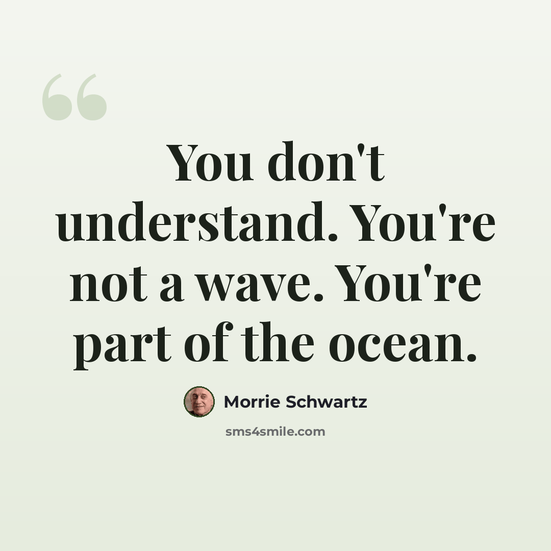“You don't understand. You're not a wave. You're part of the ocean.” quote by Morrie Schwartz