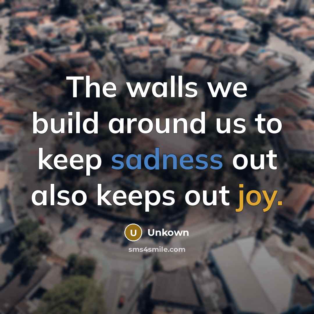 “The walls we build around us to keep sadness out also keeps out joy.” quote by Unkown