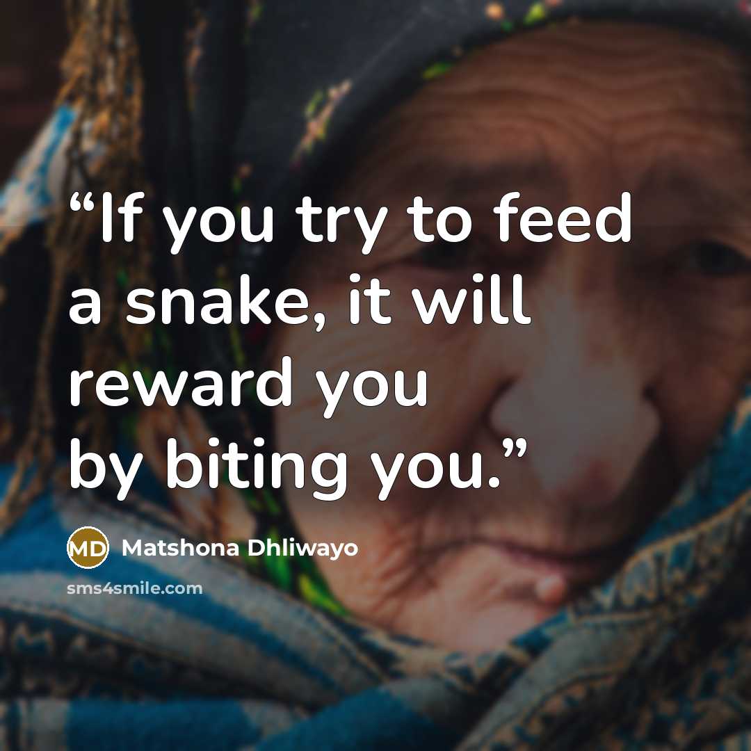 “If you try to feed a snake, it will reward you by biting you.” quote by Matshona Dhliwayo