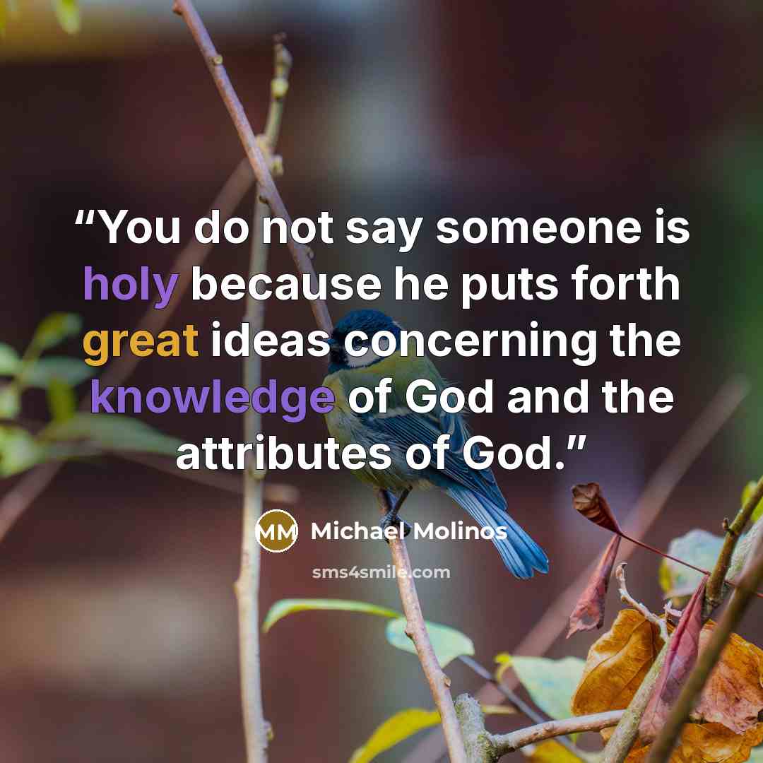 “You do not say someone is holy because he puts forth great ideas concerning the knowledge of God and the attributes of God.” quote by Michael Molinos